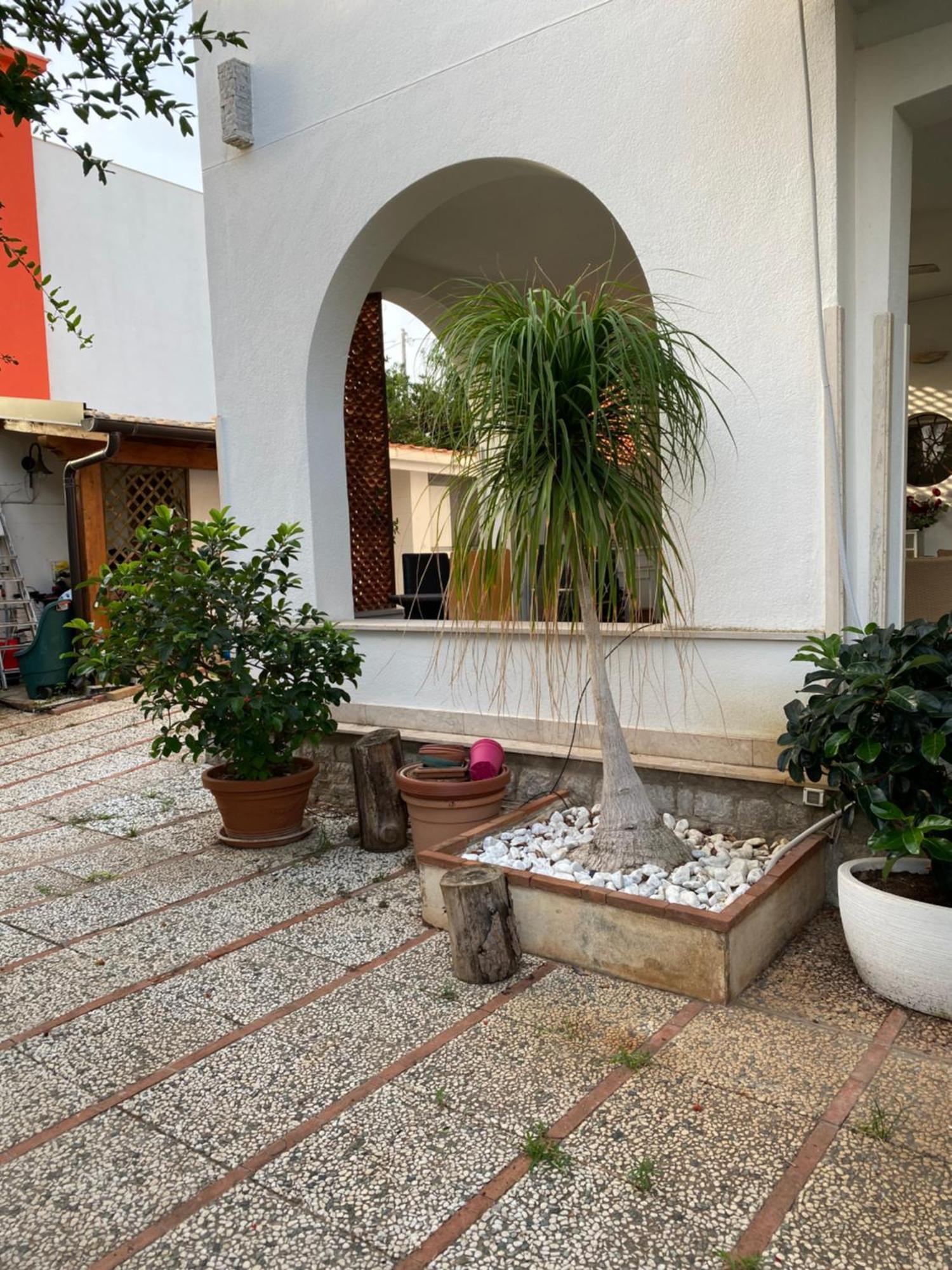 Holiday & House - Imparato Carini Costa Verde Exterior foto